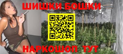 молекула духа Новозыбков
