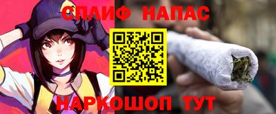 молекула духа Новозыбков